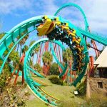Kumba busch gardens tampa
