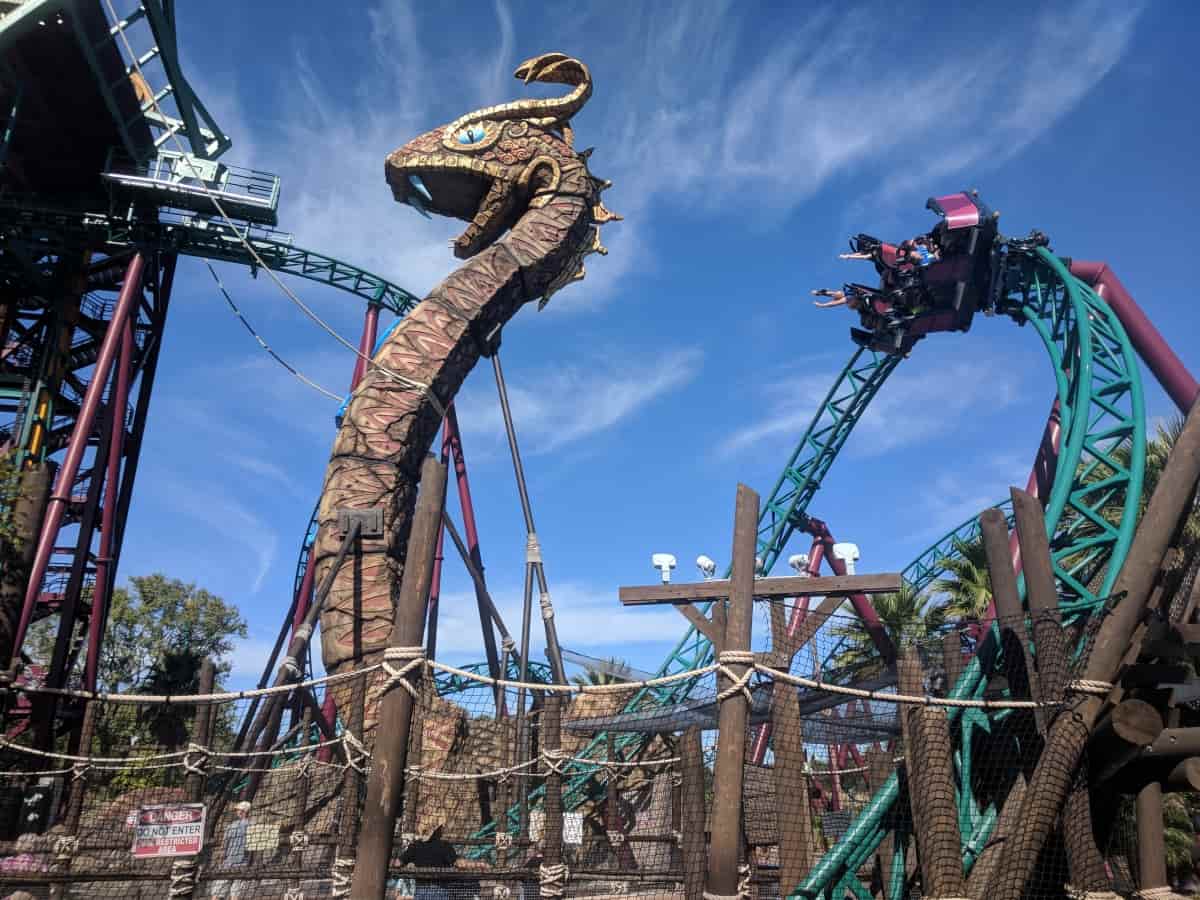 cobra s curse horseshoe