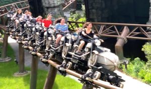 hagrid roller coaster