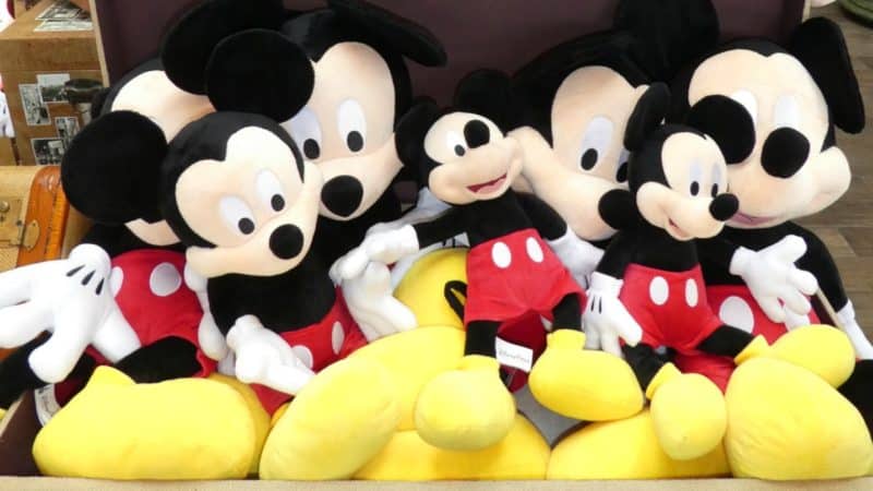 stuffsouvenirsdisneyworld