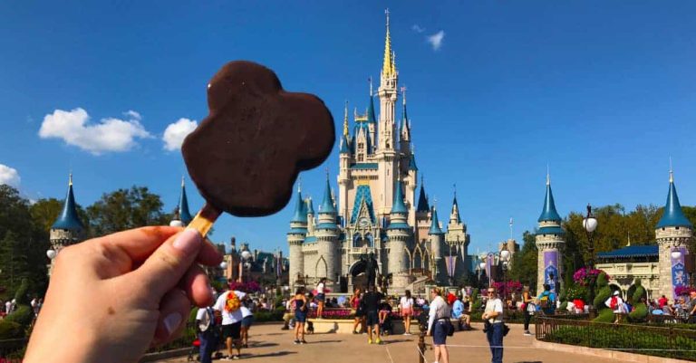 castillo disney world