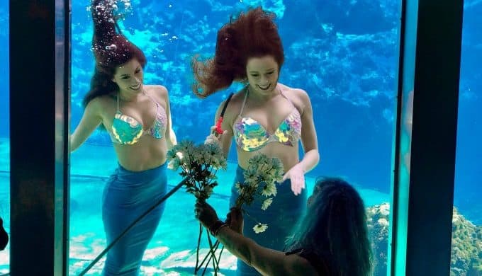 Weeki Wachee Springs mermaids