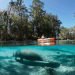 Crystal River Florida