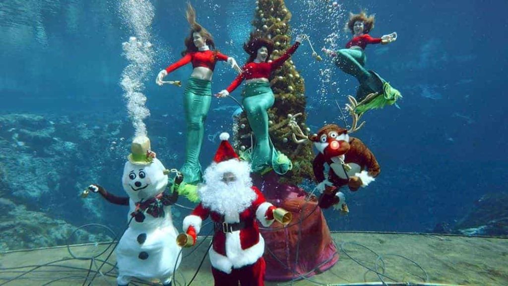 christmas-weeki-wachee-mermaid
