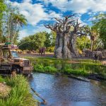 animal-kingdom-kilimanjaro-safaris