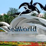 seaworld orlando entrance