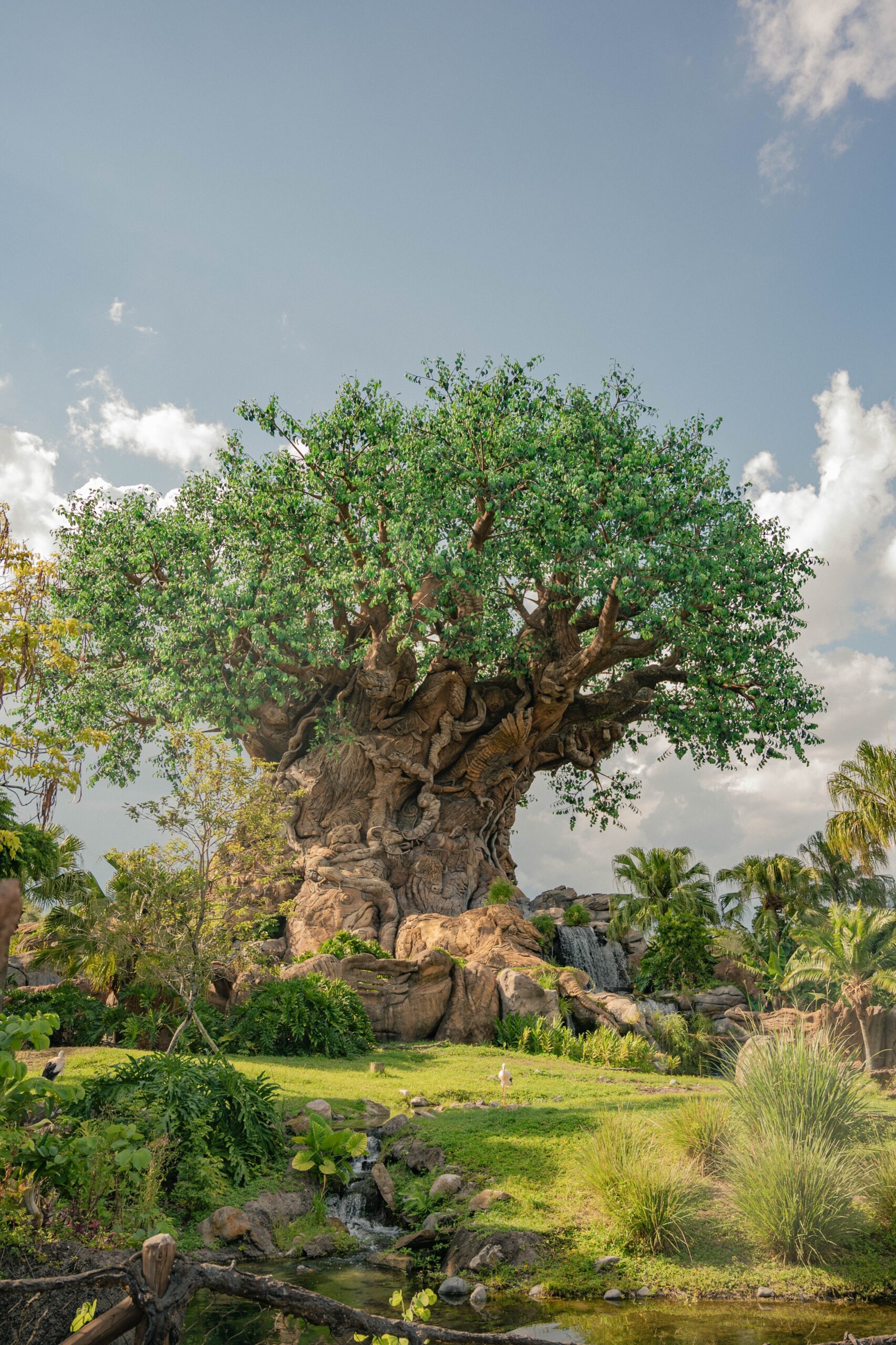 Explore your wild side at Animal Kingdom