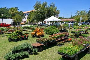 Mejores Mercados de Productores Orlando